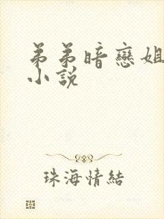 弟弟暗恋姐姐的小说