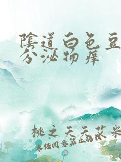 阴道白色豆腐渣分泌物痒