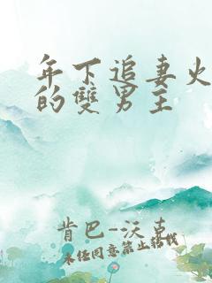 年下追妻火葬场的双男主