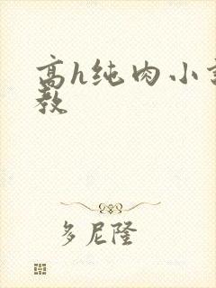 高h纯肉小说调教