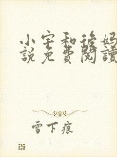 小宇和后妈的小说免费阅读