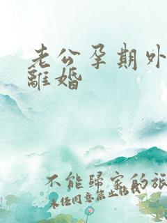 老公孕期外遇要离婚