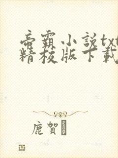 帝霸小说txt精校版下载