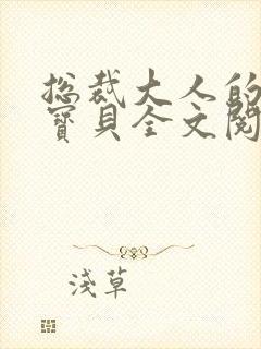 总裁大人的私有宝贝全文阅读