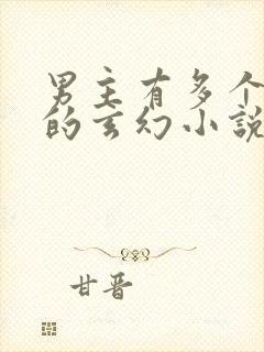 男主有多个老婆的玄幻小说