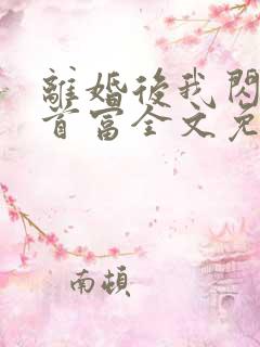 离婚后我闪婚了首富全文免费阅读