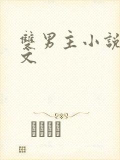 双男主小说完结文