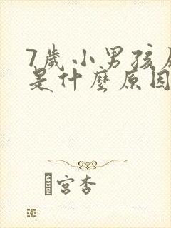 7岁小男孩尿床是什么原因