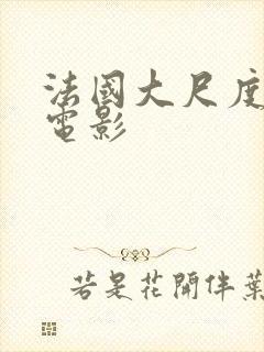 法国大尺度3p电影