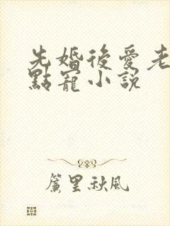 先婚后爱老公轻点宠小说