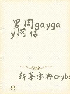 男同gaygay网站
