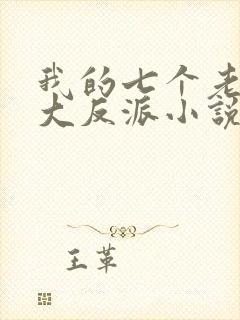 我的七个老婆是大反派小说