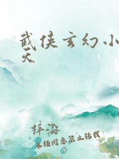 武侠玄幻小说林天