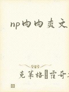 np肉肉爽文