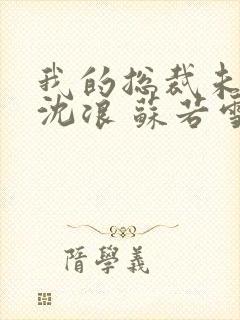 我的总裁未婚妻沈浪 苏若雪