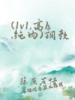 (1v1,高h,纯肉)调教