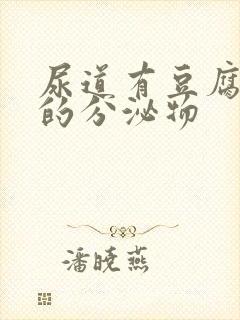 尿道有豆腐渣似的分泌物