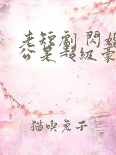 老短剧 闪婚老公是超级豪门