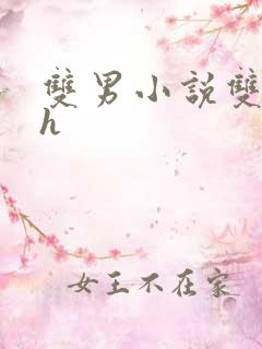 双男小说双性高h