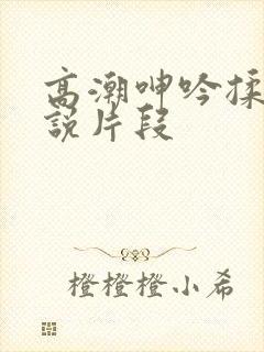 高潮呻吟揉摸小说片段