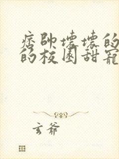 痞帅坏坏的校霸的校园甜宠文