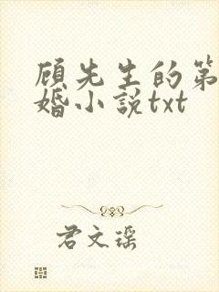 顾先生的第一宠婚小说txt