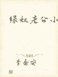 绿奴老公小说