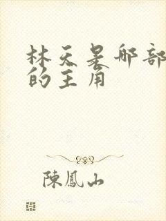 林天是哪部小说的主角