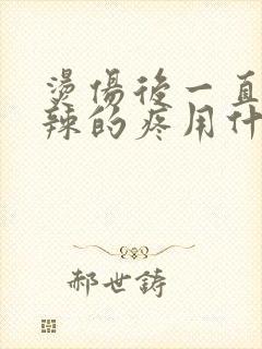 烫伤后一直火辣辣的疼用什么药