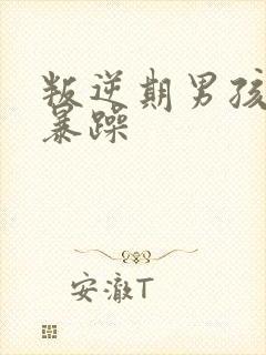 叛逆期男孩脾气暴躁