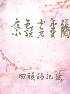 夜色少年张小兵小说免费阅读