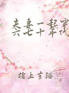 夫妻一起穿越到六七十年代的小说