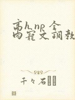 高h np 全肉宠文调教道具