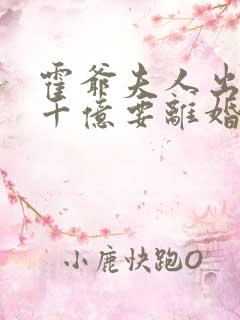 霍爷夫人出价一千亿要离婚的小说免费阅读