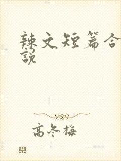 辣文短篇合集小说