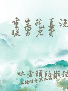 重生我真没想当暖男免费