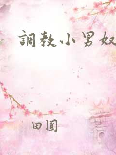 调教小男奴小说