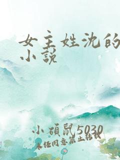 女主姓沈的古言小说