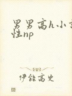 男男高h小说双性np