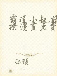 霸道小叔,请轻撩漫画免费