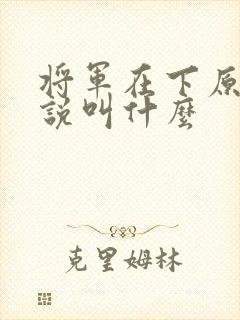 将军在下原著小说叫什么