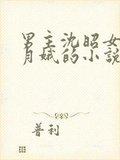 男主沈昭女主周月娥的小说