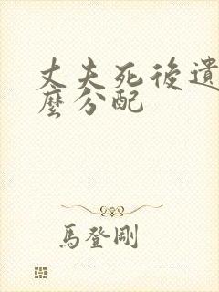 丈夫死后遗产怎么分配