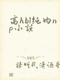 高hbl纯肉np小说