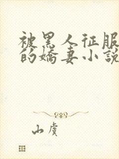 被黑人征服调教的娇妻小说