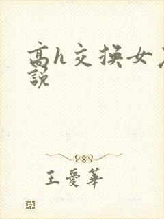 高h交换女友小说