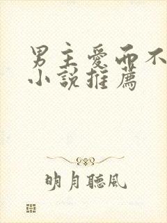 男主爱而不得的小说推荐