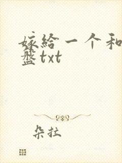 嫁给一个和尚网盘txt