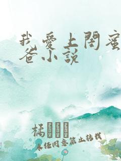 我爱上闺蜜的爸爸小说