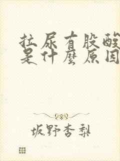 拉尿有股酸臭味是什么原因呢?